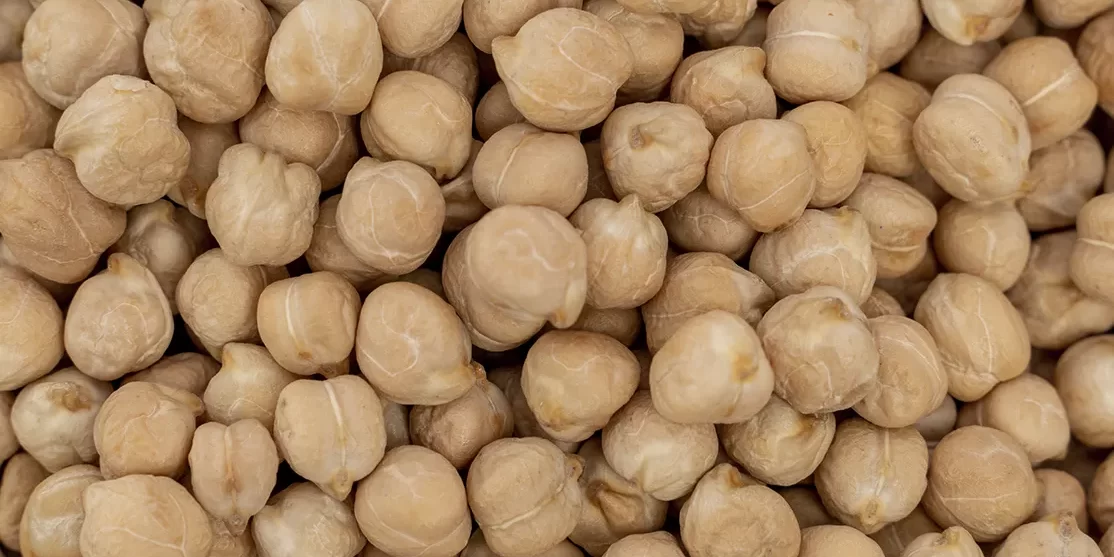 Garbanzo