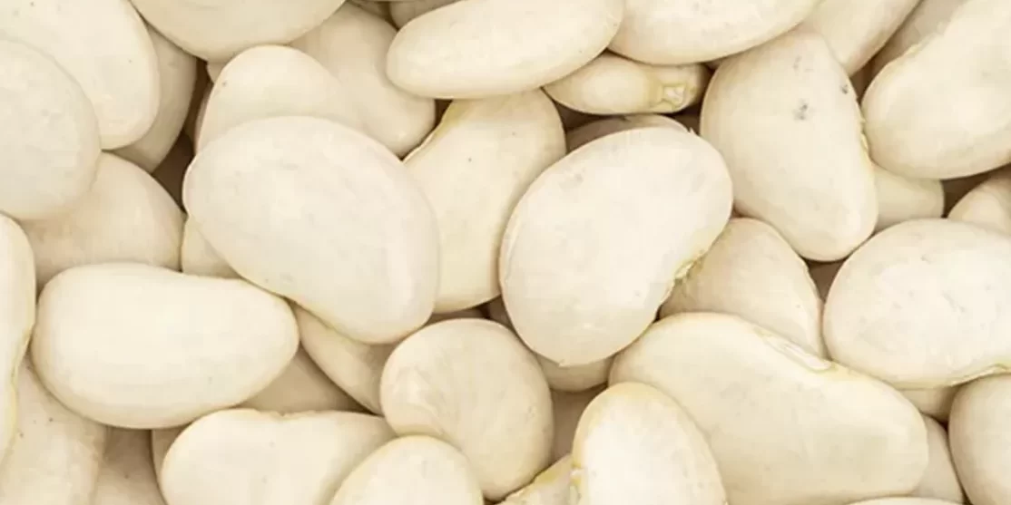 pallar Pallar